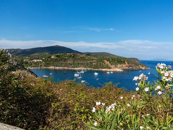 italia | immagini | mare | cielo | sereno | porto azzurro isola | 