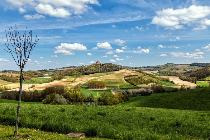 pianure del piemonte | colli piemonte | fotografie monferrato | immagini monferrato | casale | 