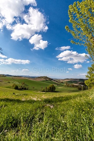 pianure del piemonte | colli piemonte | fotografie monferrato | immagini monferrato | 