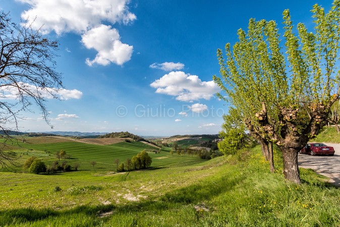 pianure del piemonte | colli piemonte | fotografie monferrato | immagini monferrato | 