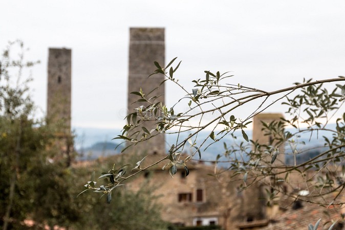 foto di san gimignano | foto san gimignano siena | san gimignano foto gallery | foto toscana | 