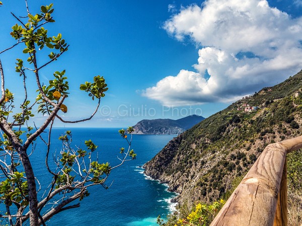 fotografie delle cinque terre | immagini delle 5 terre liguria | immagini corniglia | corniglia | 