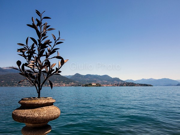 lago maggiore isole | immagini del lago maggiore | isole borromeo | lombardia | immagini del lago | 