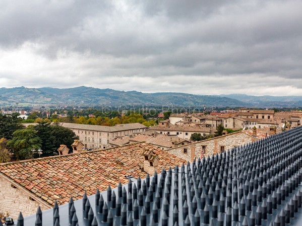 gubbio | umbria | italia | panorama | centro | don matteo | case | tetti | 