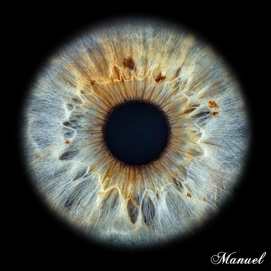 iris | iride | genova | foto iride | giulio photo | iride liguria | macro | iris galleria |
